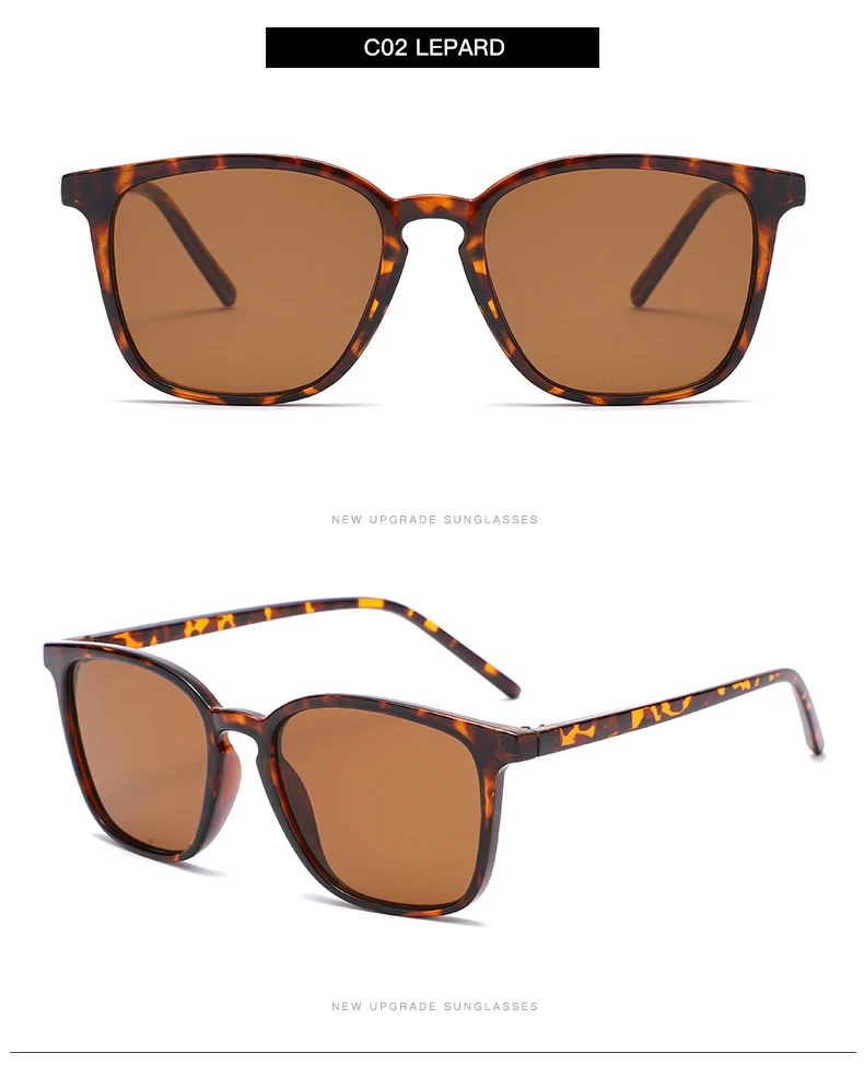 6-Piece Vintage Sunglasses — Image 14