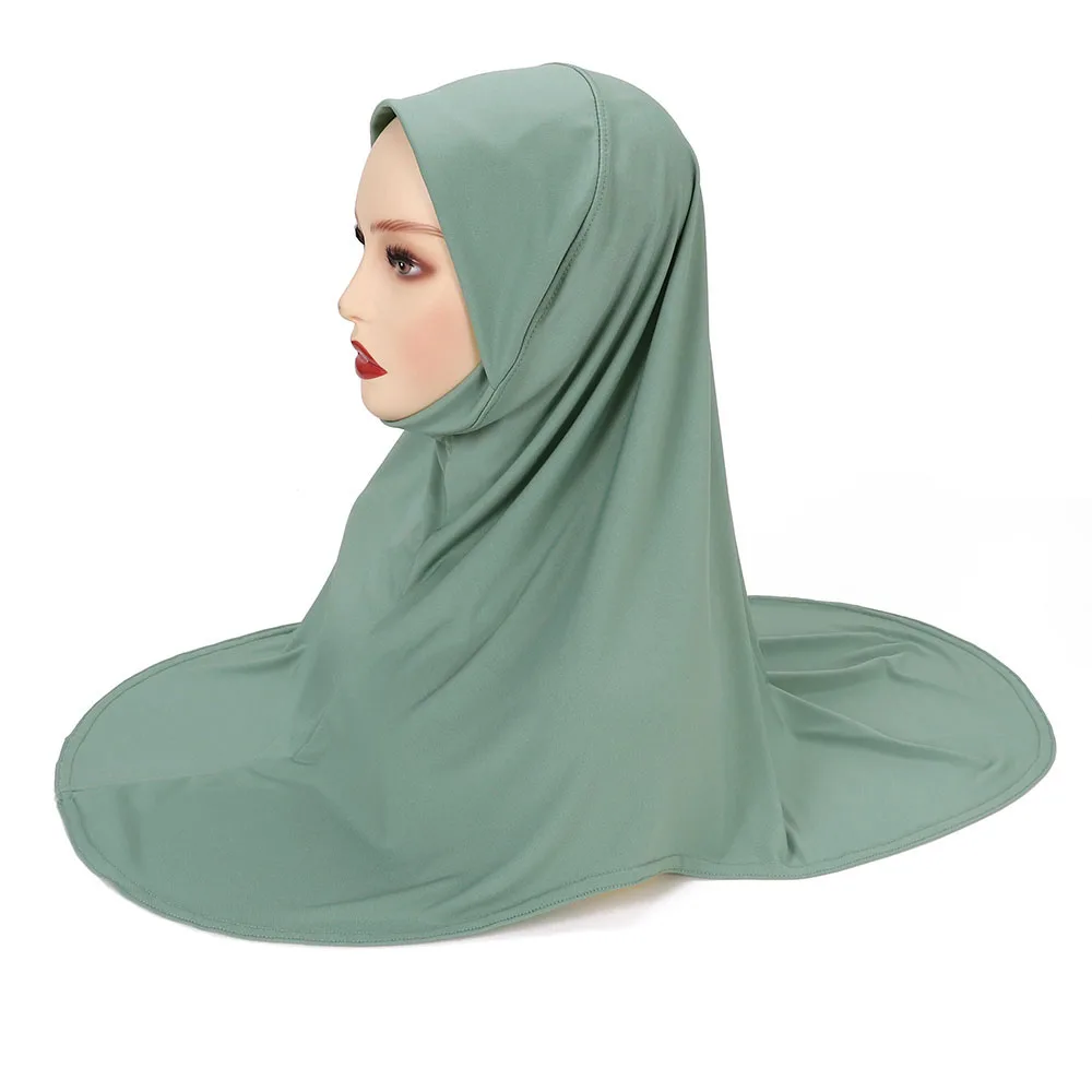 الشكل 13