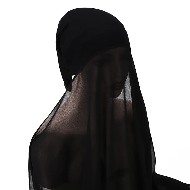 الشكل 1