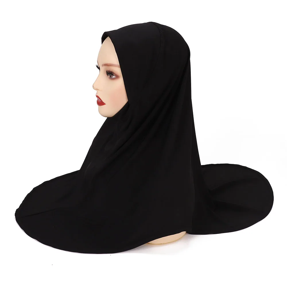 الشكل 1