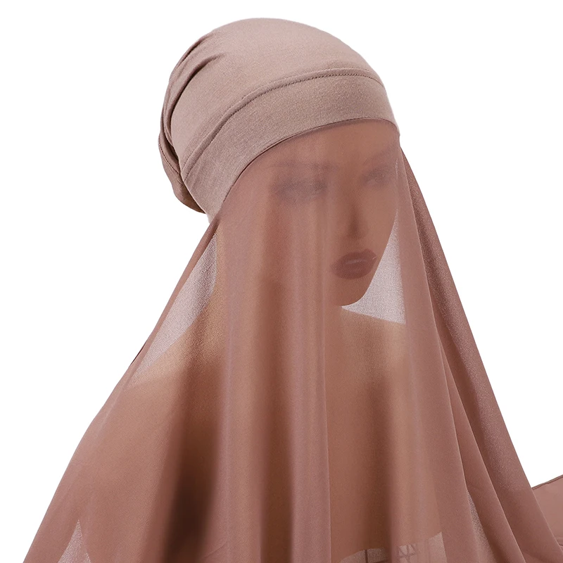 الشكل 24