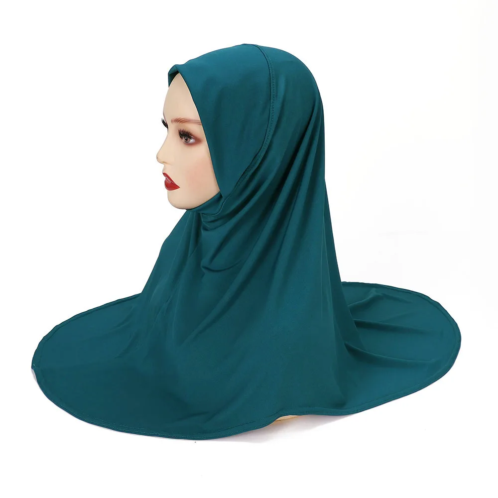 الشكل 17